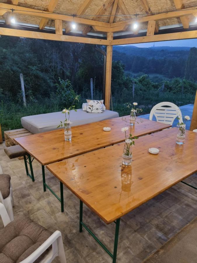 IrigHoopovo House Fruska Gora别墅 外观 照片