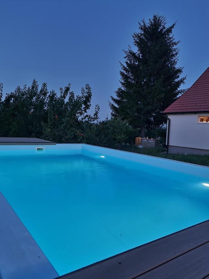 IrigHoopovo House Fruska Gora别墅 外观 照片