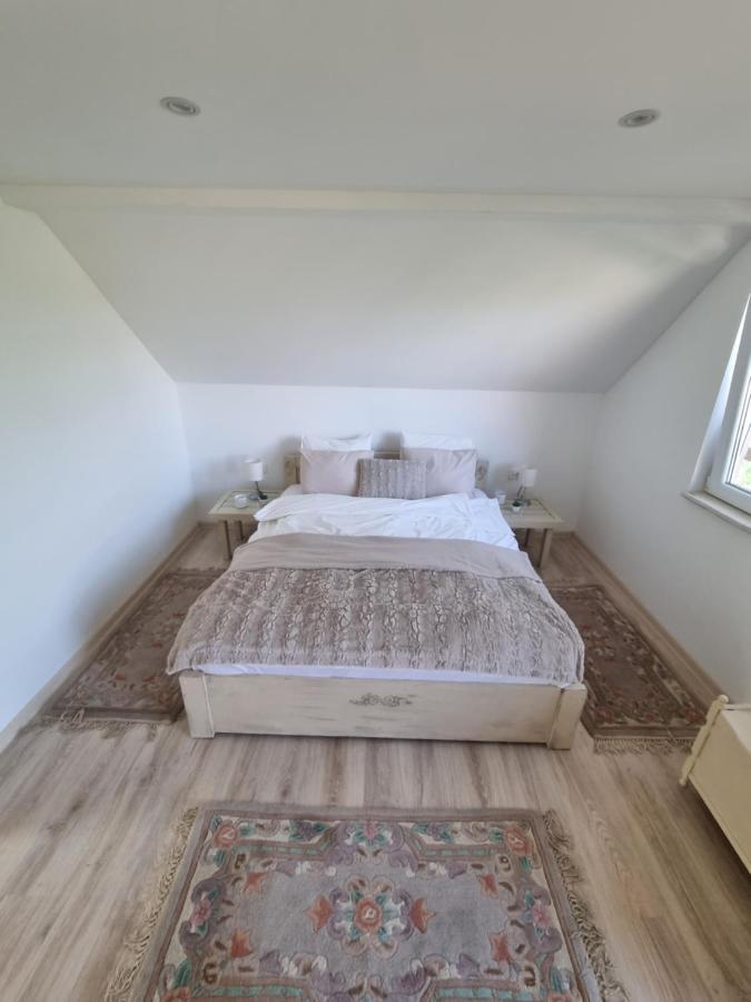 IrigHoopovo House Fruska Gora别墅 外观 照片